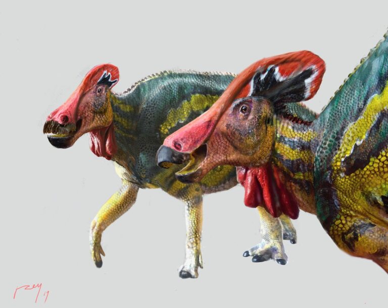 Tlatolophus galorum nueva especie de dinosaurio en México