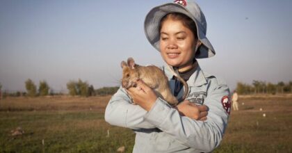 Animales al servicio de la humanidad