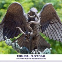 Tribunal Electoral: ¿Qué es y cómo se forma?