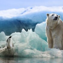 Se derrite la Antártida, registra altas temperaturas por el calentamiento global