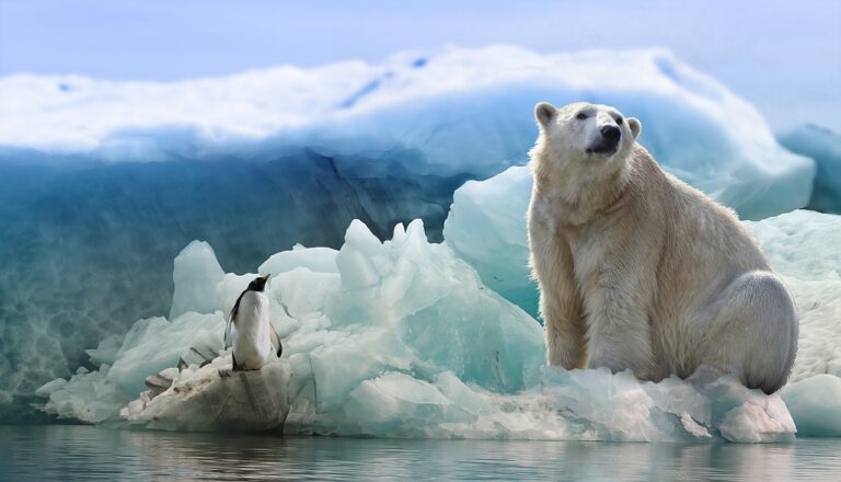 Se derrite la Antártida, registra altas temperaturas por el calentamiento global