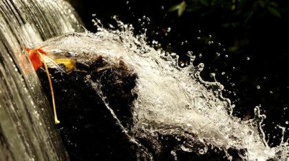 Bastan un par de días a la semana para bañarse: Harvard