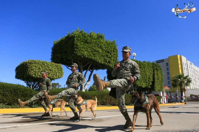 Militarizar el país no es opción, un cuerpo civil con base militar sin dinero