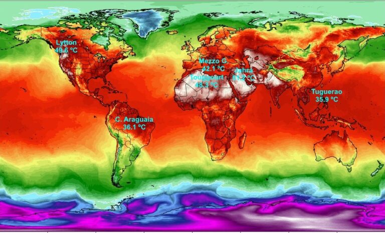 Ola de calor sigue cobrando vidas, se registraron más de 400 muertes