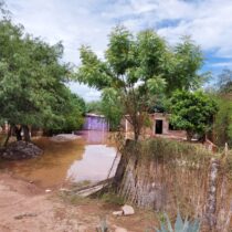 A pesar de las lluvias México está en emergencia por sequía