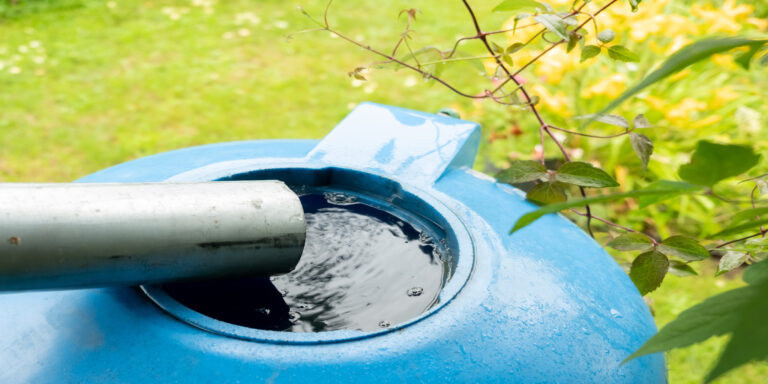 La recolección del agua pluvial, una solución a la gestión de este líquido vital