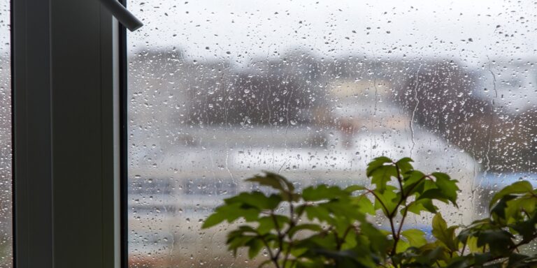 El clima cambia nuestro estado de ánimo