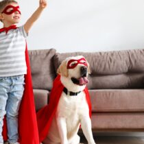 Día Mundial del Perro: celebrando a nuestros fieles compañeros