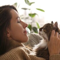 “No era solo un gato”: cómo atravesar el duelo por una mascota