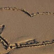 Cómo tener un amor de verano (sin morir en el intento)