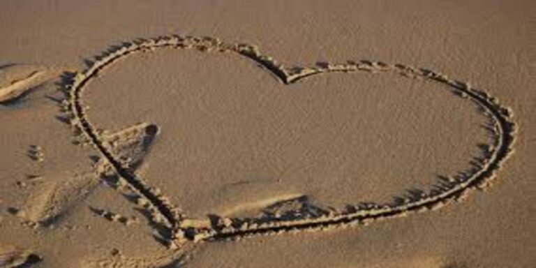 Cómo tener un amor de verano (sin morir en el intento)
