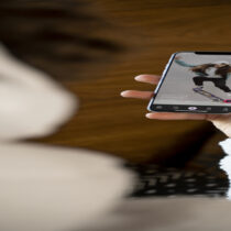 Tendencias de TikTok que marcaron el año