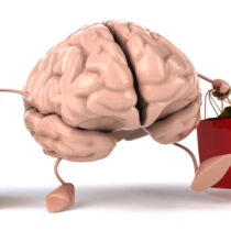 Neuromarketing: cuando las marcas aprenden a pensar como el cerebro