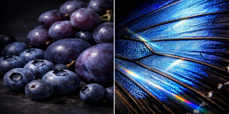 ¿Por qué es tan difícil ver el color azul en frutas y animales?
