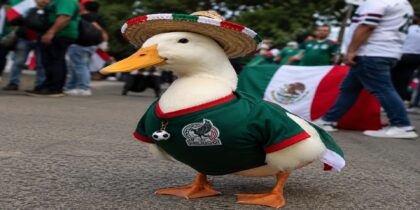 El pato Merlín: la inesperada estrella del Mundial 2026