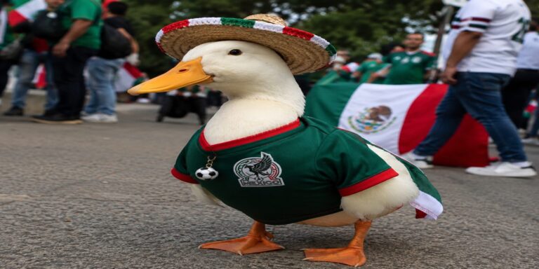 El pato Merlín: la inesperada estrella del Mundial 2026