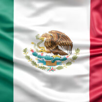 La primera gran decepción futbolera: México se despide del sueño mundialista