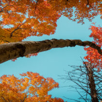 El clima de otoño: una temporada de cambios
