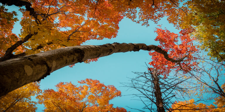 El clima de otoño: una temporada de cambios
